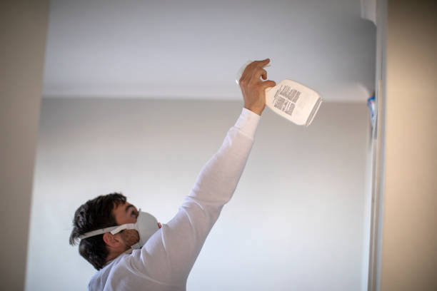 Best Office Mold Removal Services  in Anacoco, LA