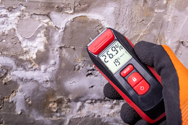 Best Mold Testing  in Anacoco, LA