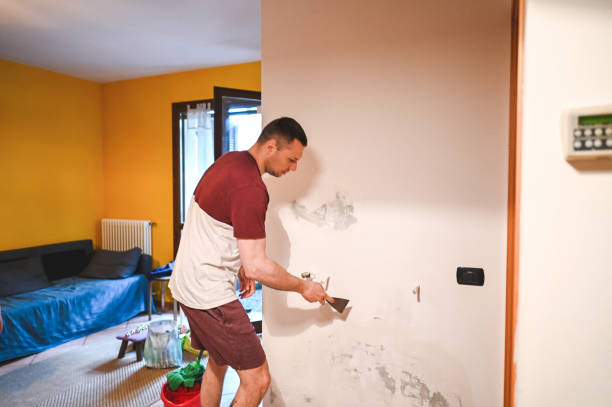 Best Same-Day Mold Removal  in Anacoco, LA