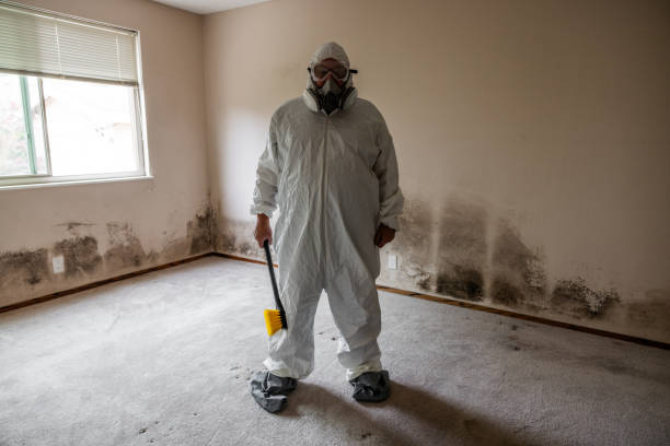 Home Mold Removal in Anacoco, LA